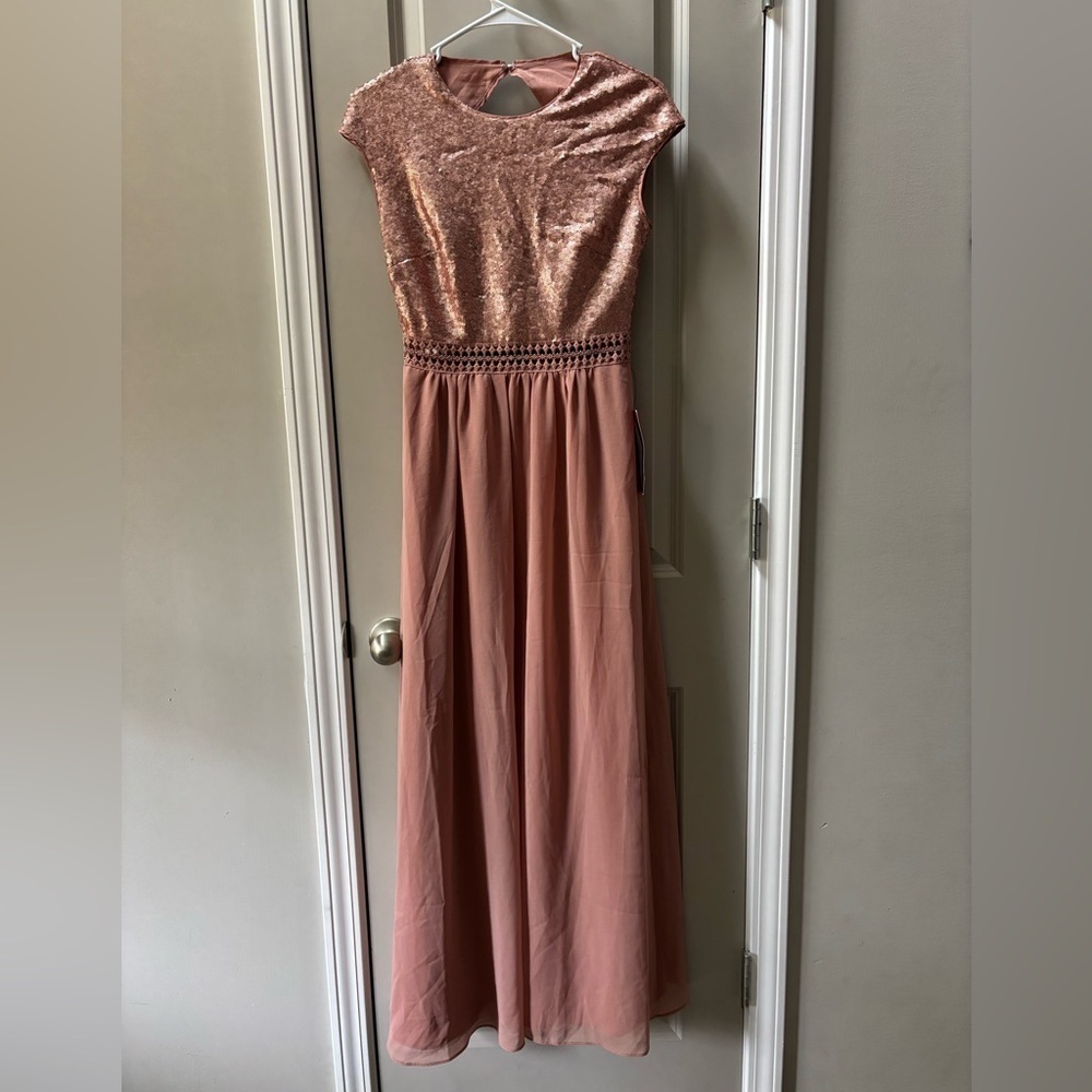 Truth & Fable Rose Blush Chiffon Maxi Dress